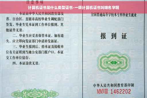 计算机证书是什么类型证书-一级计算机证书叫啥名字啊