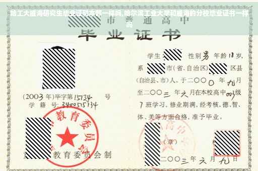 哈工大威海研究生毕业证和本部一样吗,哈尔滨工业大学和威海的分校毕业证书一样吗