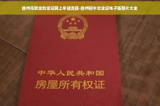 徐州市就业创业证网上申请流程-徐州初中毕业证电子版图片大全