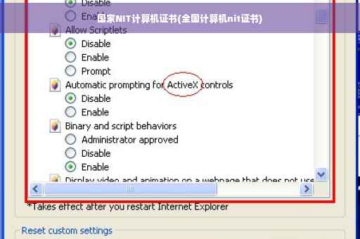 国家NIT计算机证书(全国计算机nit证书)