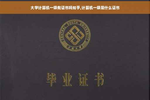 大学计算机一级有证书吗知乎,计算机一级是什么证书