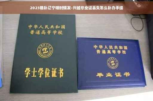 2023粮补辽宁啥时候发-兴城毕业证丢失怎么补办手续