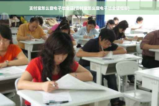 支付宝怎么查电子毕业证(支付宝怎么查电子毕业证信息)