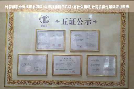 计算机职业资格证书四级/中级技能属于几级?有什么用吗,计算机操作等级证书四级