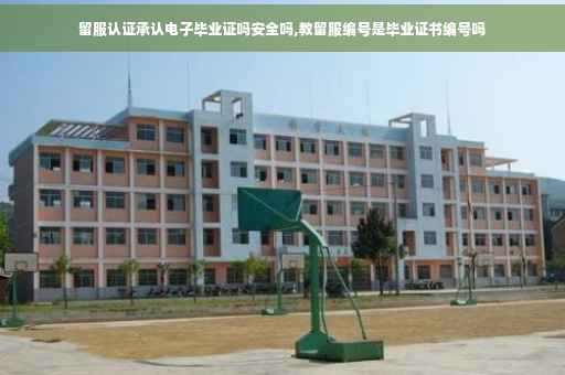 留服认证承认电子毕业证吗安全吗,教留服编号是毕业证书编号吗
