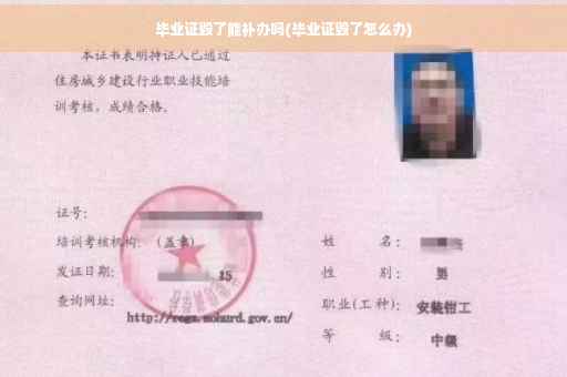 毕业证毁了能补办吗(毕业证毁了怎么办)