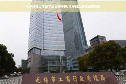 电子科技大学留学项目好不好,电子科大毕业证有用吗