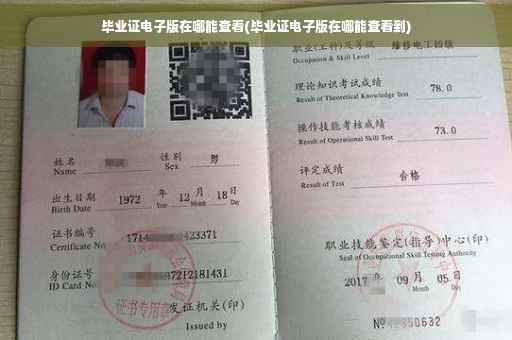 毕业证电子版在哪能查看(毕业证电子版在哪能查看到)
