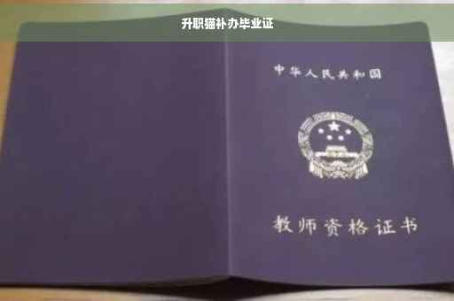 升职猫补办毕业证