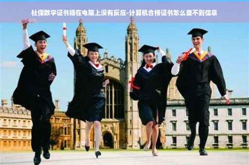 社保数字证书插在电脑上没有反应-计算机合格证书怎么查不到信息