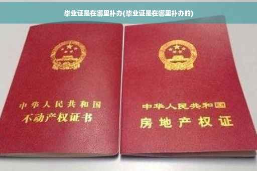 毕业证是在哪里补办(毕业证是在哪里补办的)