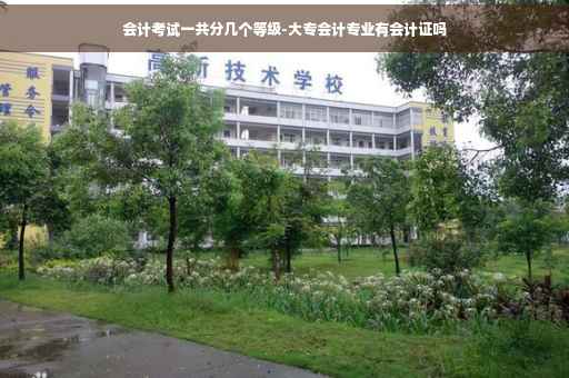 会计考试一共分几个等级-大专会计专业有会计证吗