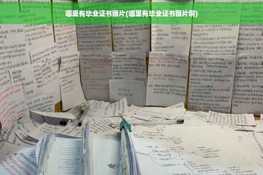 哪里有毕业证书图片(哪里有毕业证书图片啊)