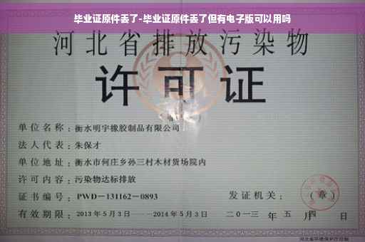 毕业证原件丢了-毕业证原件丢了但有电子版可以用吗