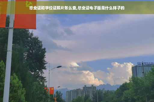 毕业证和学位证照片怎么查,毕业证电子版是什么样子的