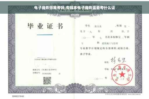 电子商务师难考吗,专插本电子商务需要考什么证