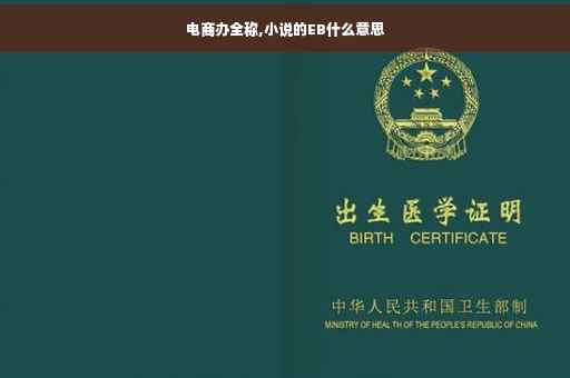 电商办全称,小说的EB什么意思