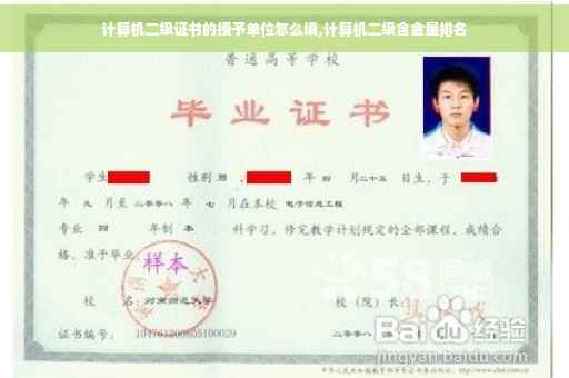 计算机二级证书的授予单位怎么填,计算机二级含金量排名