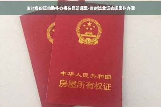 临时身份证自助补办机在昆明哪里-临时毕业证去哪里补办呢