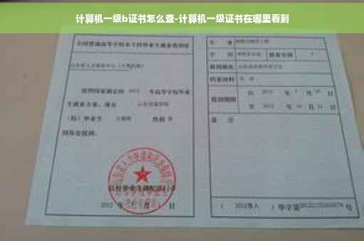 计算机一级b证书怎么查-计算机一级证书在哪里看到