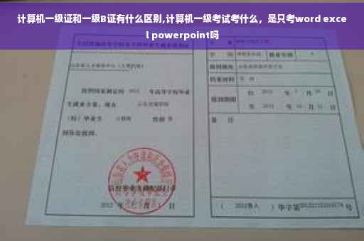 计算机一级证和一级B证有什么区别,计算机一级考试考什么，是只考word excel powerpoint吗
