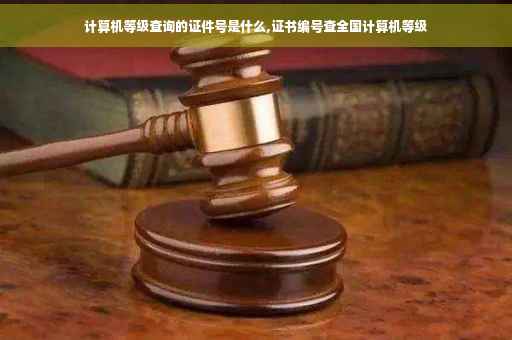 计算机等级查询的证件号是什么,证书编号查全国计算机等级