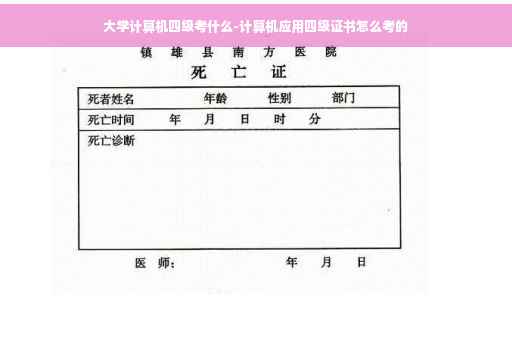 大学计算机四级考什么-计算机应用四级证书怎么考的