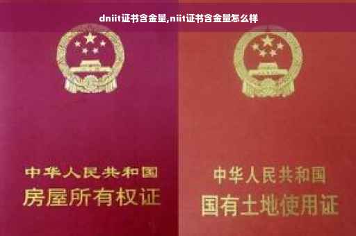 dniit证书含金量,niit证书含金量怎么样