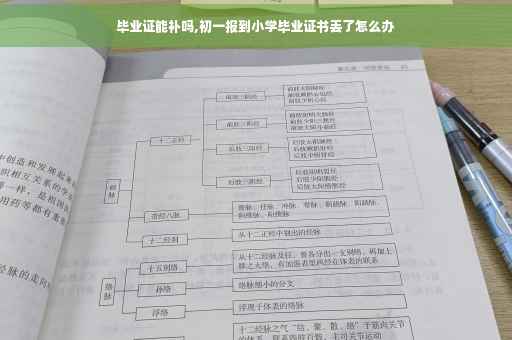 毕业证能补吗,初一报到小学毕业证书丢了怎么办