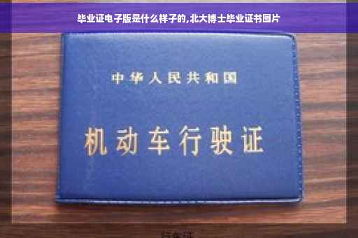毕业证电子版是什么样子的,北大博士毕业证书图片