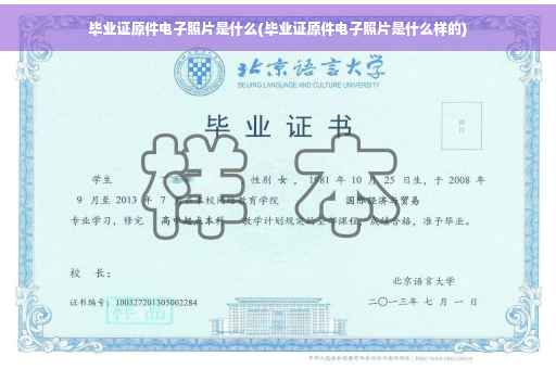 毕业证原件电子照片是什么(毕业证原件电子照片是什么样的)