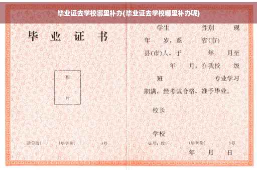 毕业证去学校哪里补办(毕业证去学校哪里补办呢)
