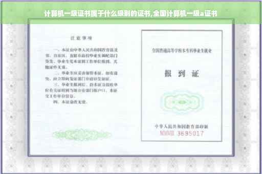 计算机一级证书属于什么级别的证书,全国计算机一级a证书