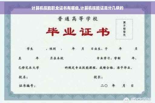 计算机技能职业证书有哪些,计算机技能证是分几级的