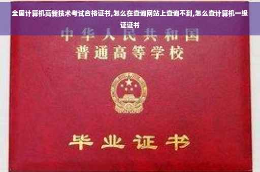 全国计算机高新技术考试合格证书,怎么在查询网站上查询不到,怎么查计算机一级证证书