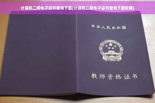 计算机二级电子证书查询下载(计算机二级电子证书查询下载官网)