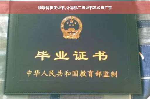 物联网相关证书,计算机二级证书怎么查广东