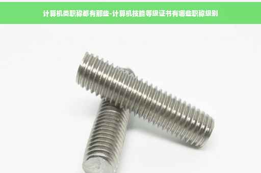 计算机类职称都有那些-计算机技能等级证书有哪些职称级别 计算机类职称都有那些-计算机技能等级证书有哪些职称级别