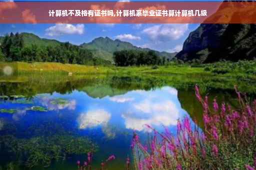 计算机不及格有证书吗,计算机系毕业证书算计算机几级