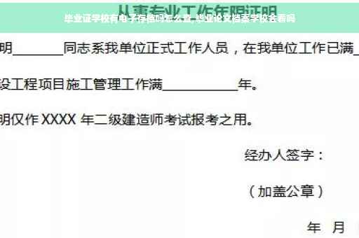 毕业证学校有电子存档吗怎么查,毕业论文档案学校会看吗