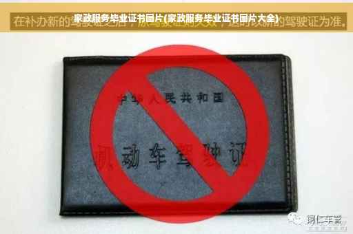 家政服务毕业证书图片(家政服务毕业证书图片大全) 家政服务毕业证书图片(家政服务毕业证书图片大全)