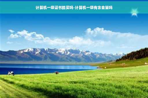 计算机一级证书能买吗-计算机一级有含金量吗