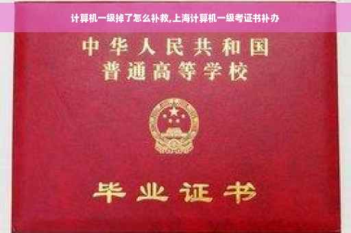 计算机一级掉了怎么补救,上海计算机一级考证书补办