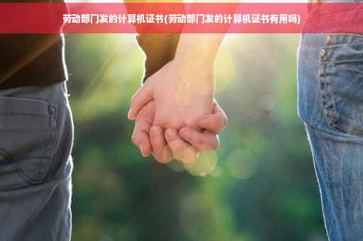 劳动部门发的计算机证书(劳动部门发的计算机证书有用吗)