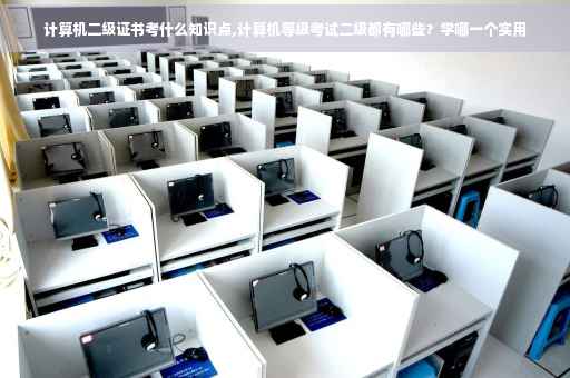 计算机二级证书考什么知识点,计算机等级考试二级都有哪些?学哪一个实用 计算机二级证书考什么知识点,计算机等级考试二级都有哪些?学哪一个实用