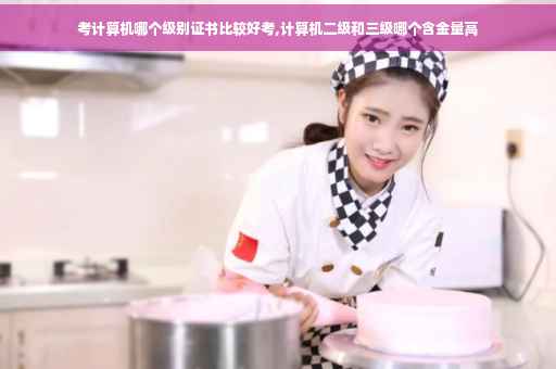 考计算机哪个级别证书比较好考,计算机二级和三级哪个含金量高