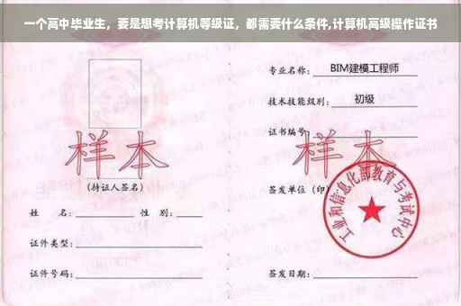 一个高中毕业生，要是想考计算机等级证，都需要什么条件,计算机高级操作证书
