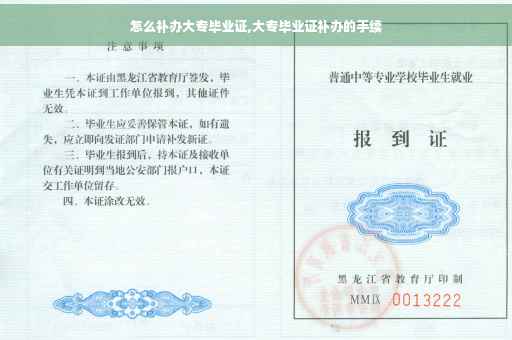 怎么补办大专毕业证,大专毕业证补办的手续