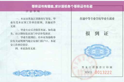 等级证书有哪些,求计算机各个等级证书名称