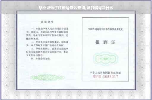 毕业证电子注册号怎么查询,证书编号是什么